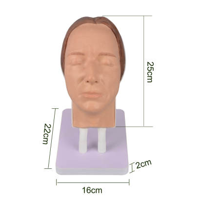 Lifelike Female Facial Injection Mannequin Size