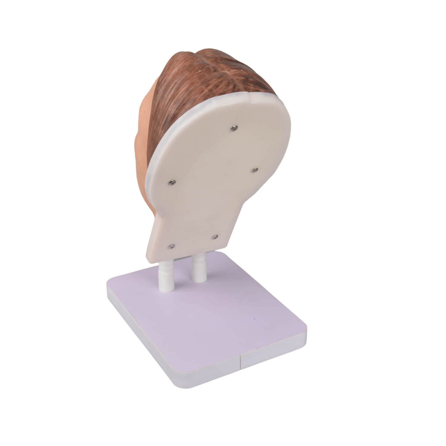 Back View of Female Facial Injection Mannequin Head