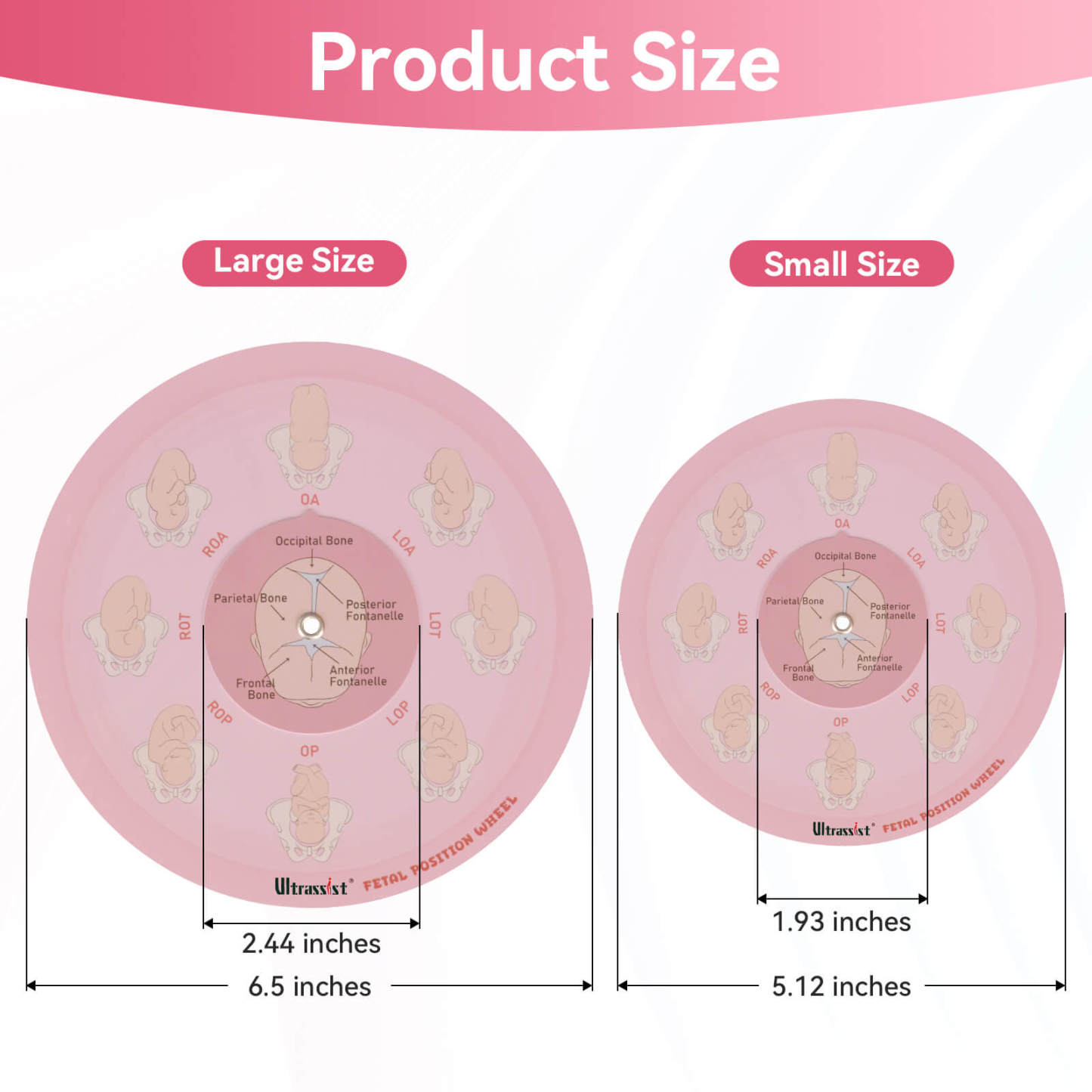 Midwife Fetal Position Tool - Cephalic & Breech