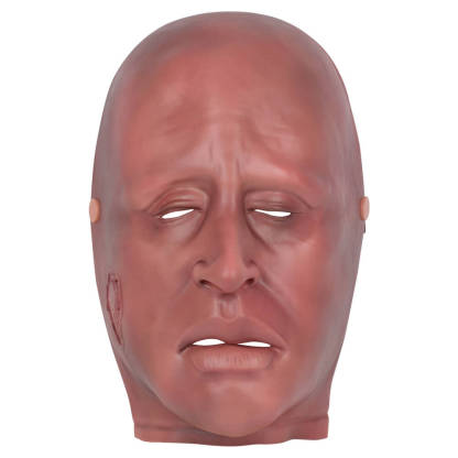 Full-Face Wearable Facial Mild Burn Model