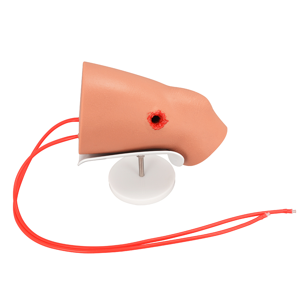 Hemorrhage Control Knee Trainer with Through Gunshot Wound(GSW)