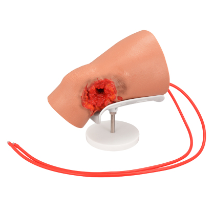 Hemorrhage Control Knee Trainer with Through Gunshot Wound(GSW)