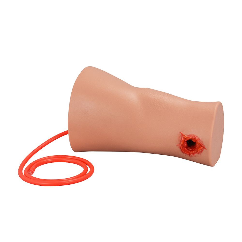 Hemorrhage Control Leg Trainer with Through Gunshot Wound(GSW)