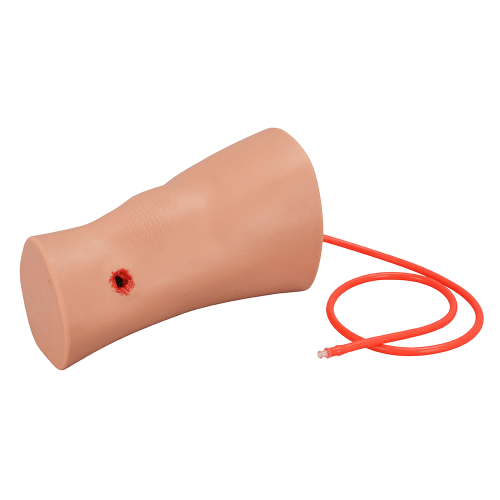 Hemorrhage Control Leg Trainer with Through Gunshot Wound(GSW)