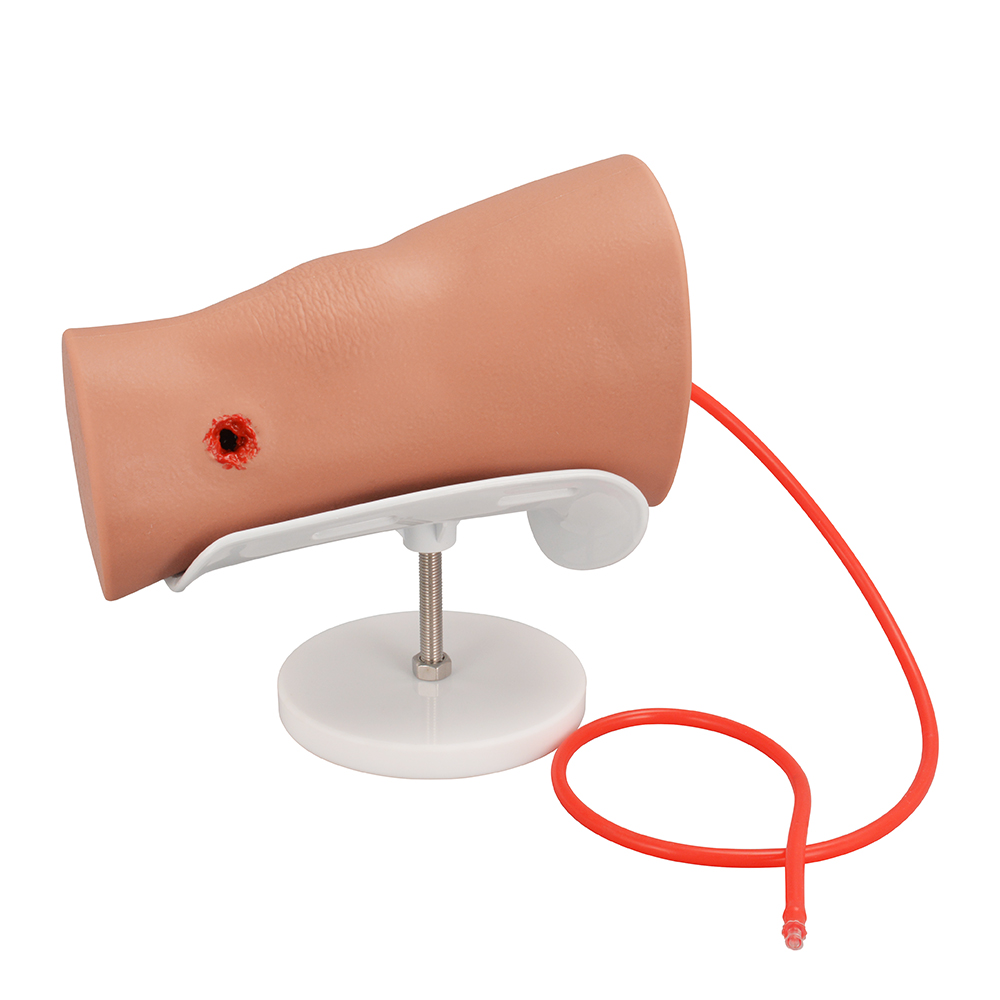 Hemorrhage Control Leg Trainer with Through Gunshot Wound(GSW)