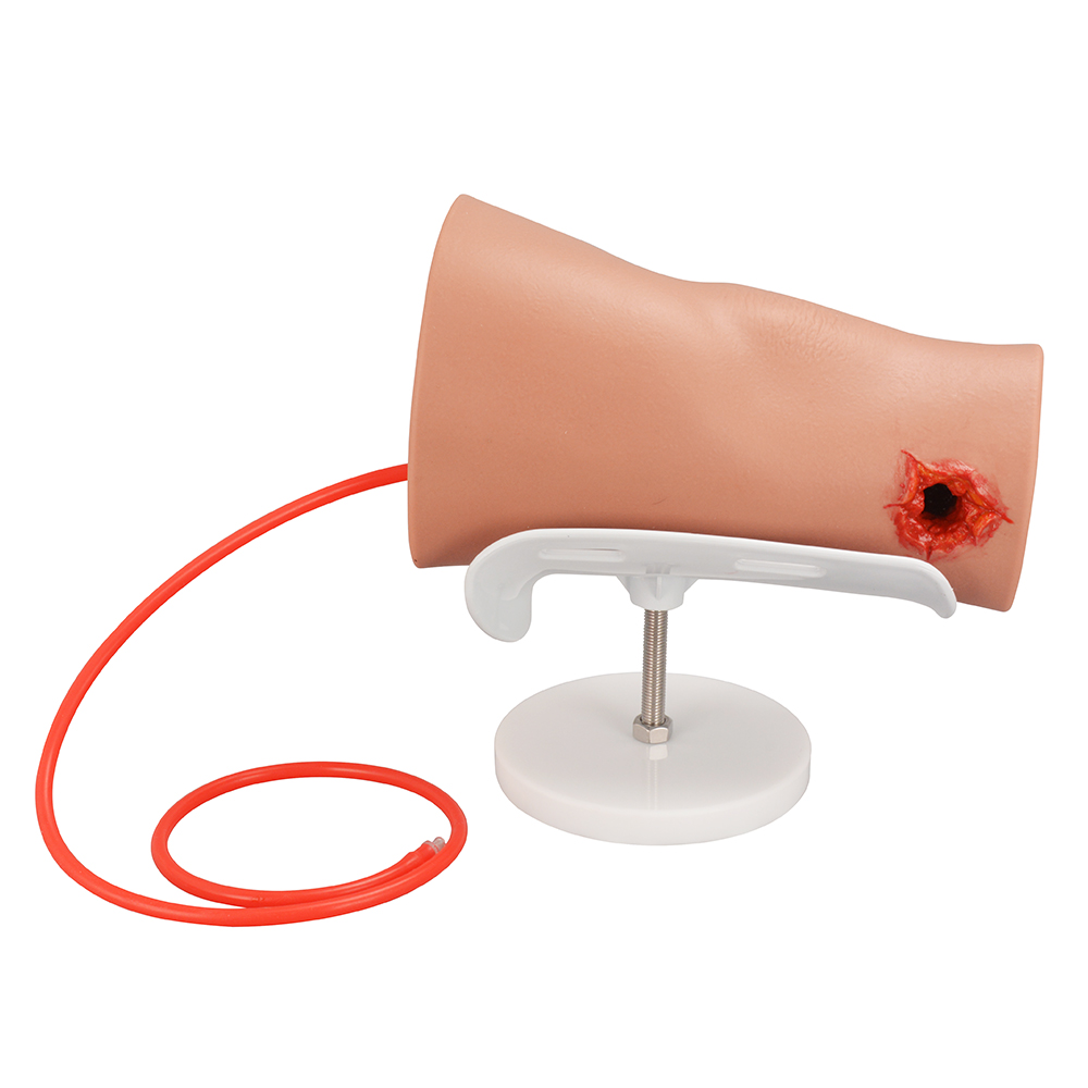 Hemorrhage Control Leg Trainer with Through Gunshot Wound(GSW)