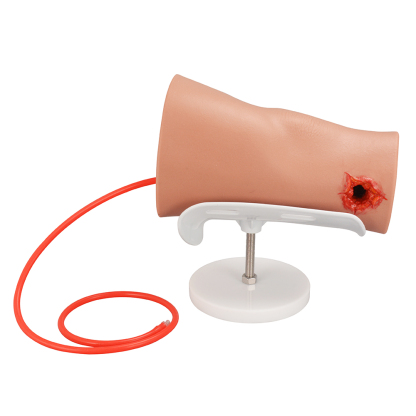 Hemorrhage Control Leg Trainer with Through Gunshot Wound(GSW)