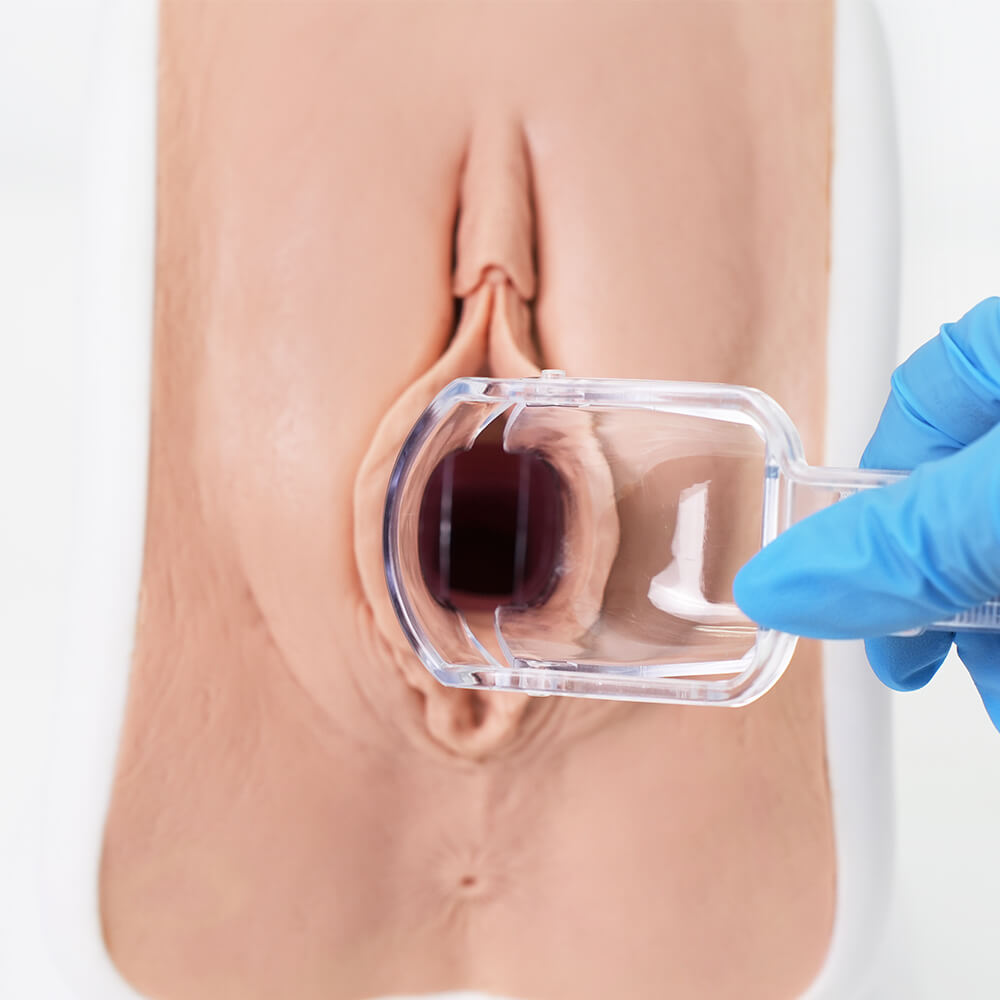  Realistic Gynecologic (GYN) Examination Trainer