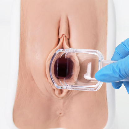  Realistic Gynecologic (GYN) Examination Trainer
