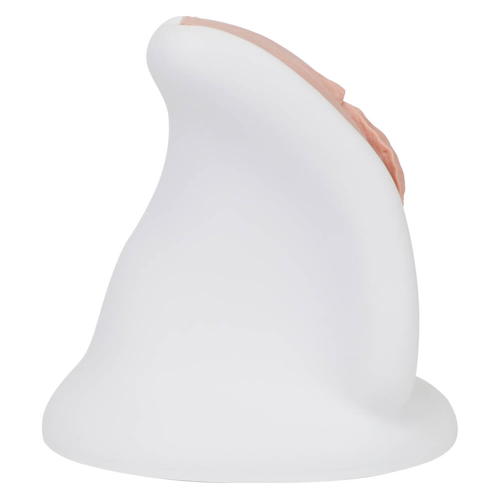  Realistic Gynecologic (GYN) Examination Trainer