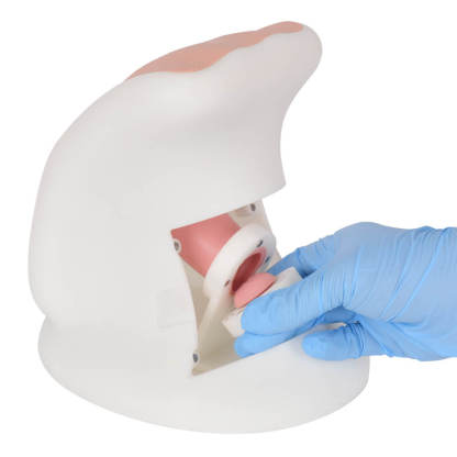 Gynecological Examination Simulator with Replaceable Cervical Modules
