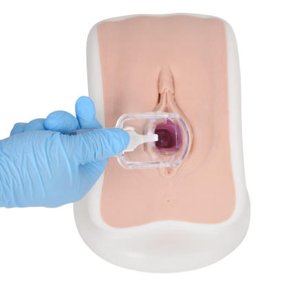 Gynecological Examination Simulator with Replaceable Cervical Modules