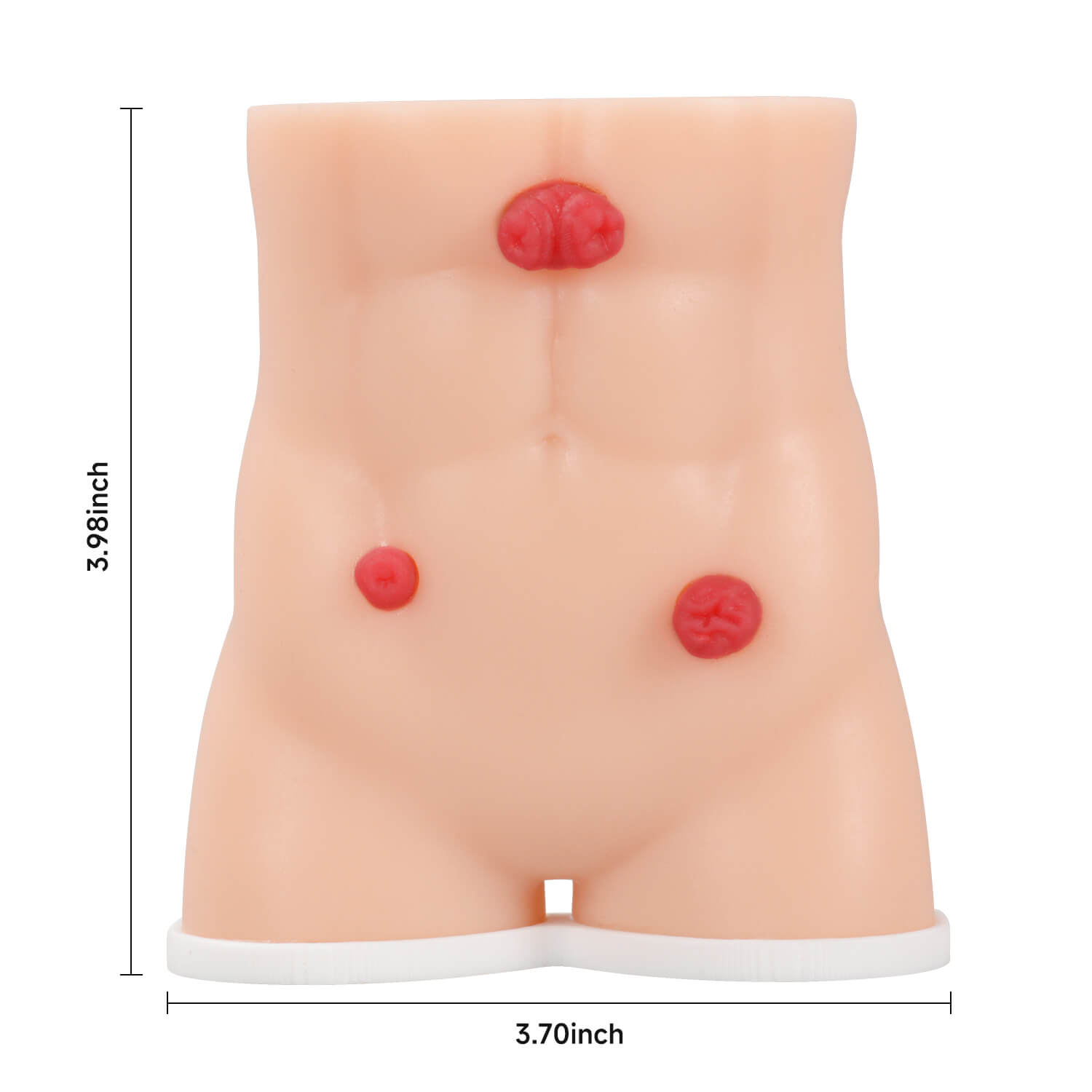 Handheld Male Stoma Demonstration Model Size