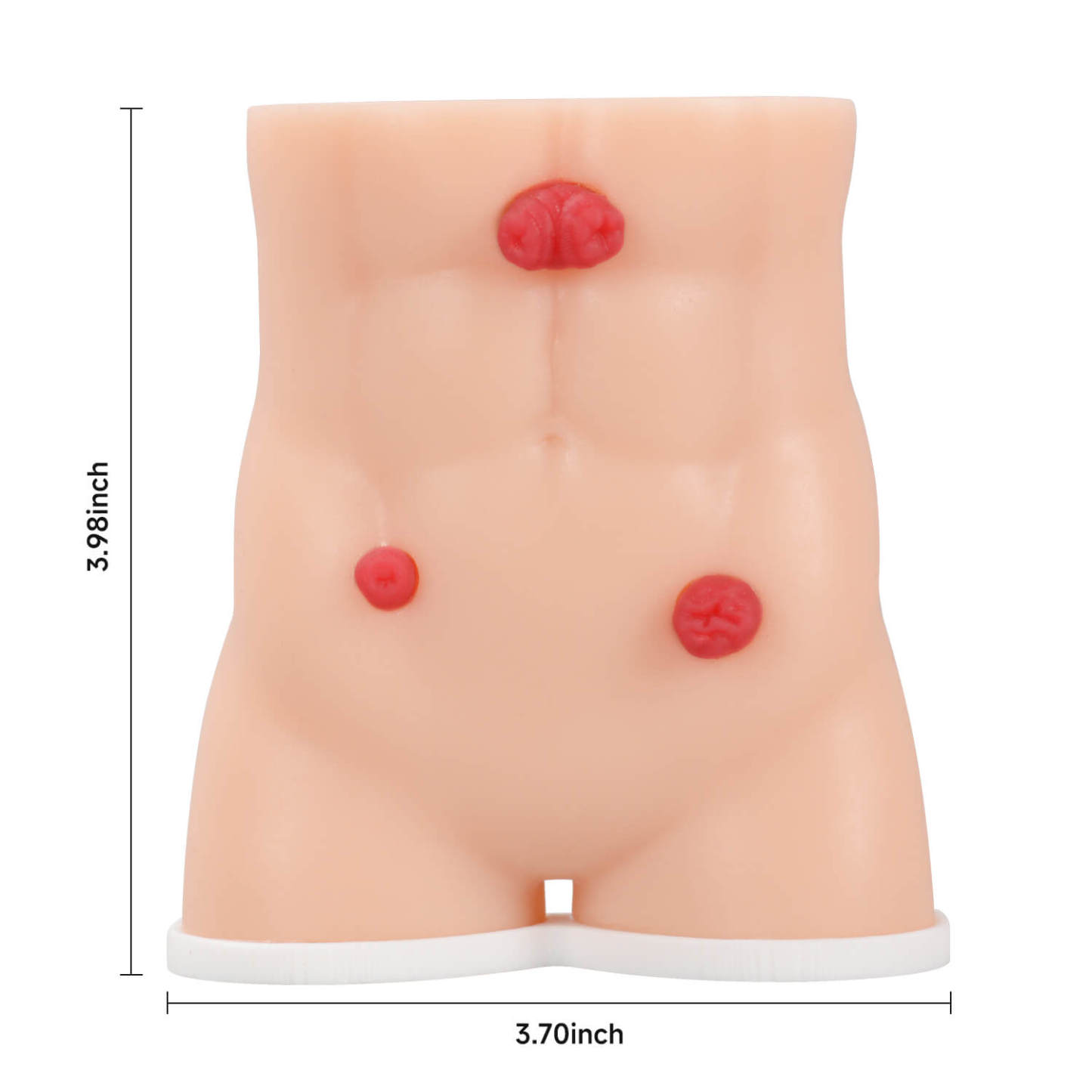 Handheld Male Stoma Demonstration Model Size