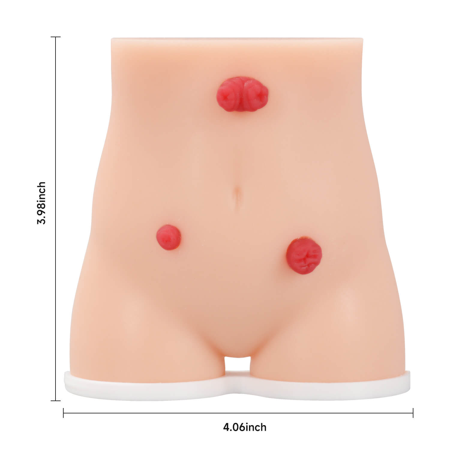 Handheld Female Stoma Demonstration Model Size