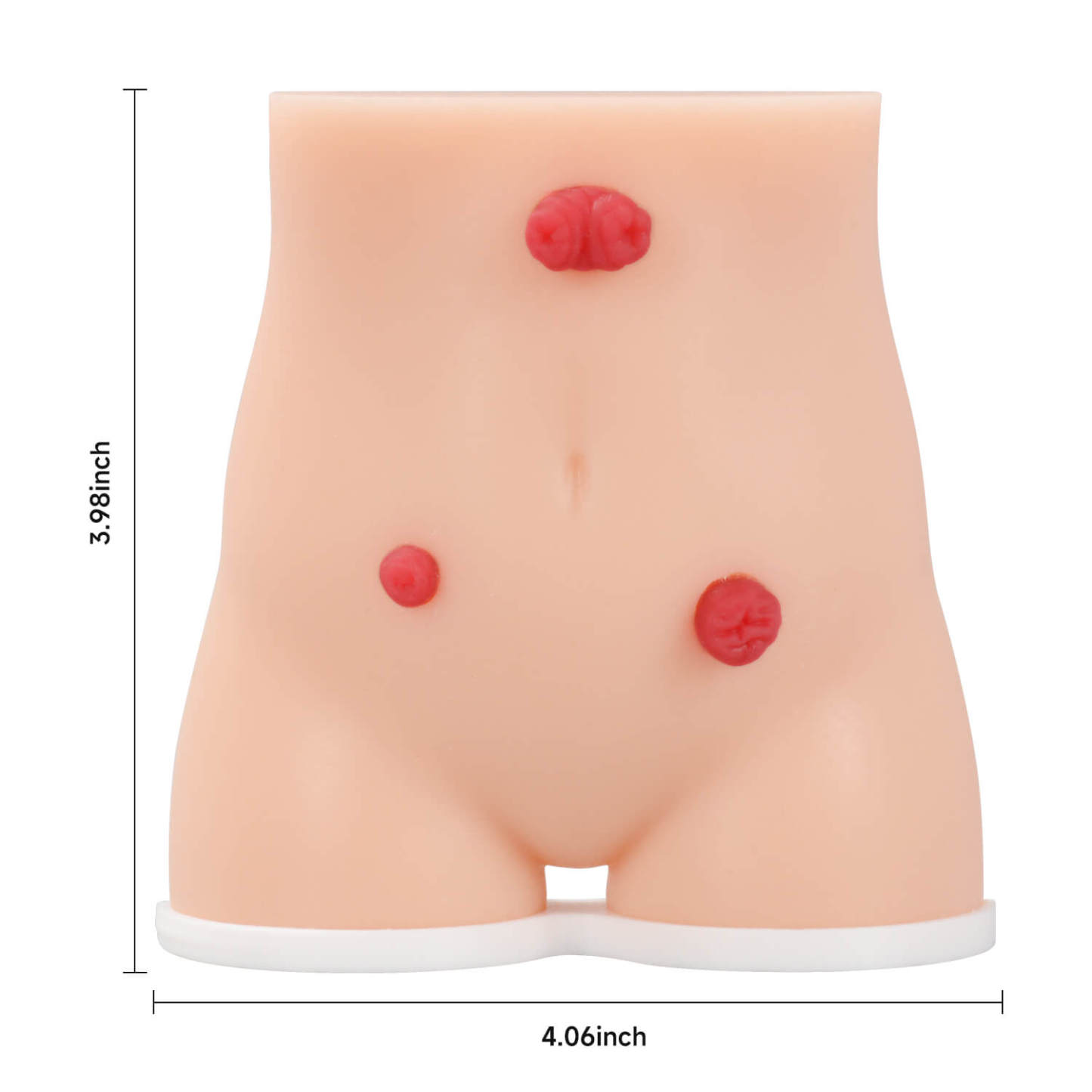 Handheld Female Stoma Demonstration Model Size