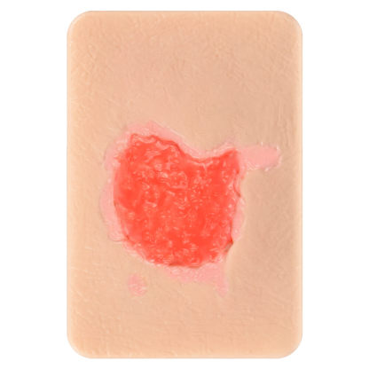 Granulation Tissue Wound Simulation Models Set