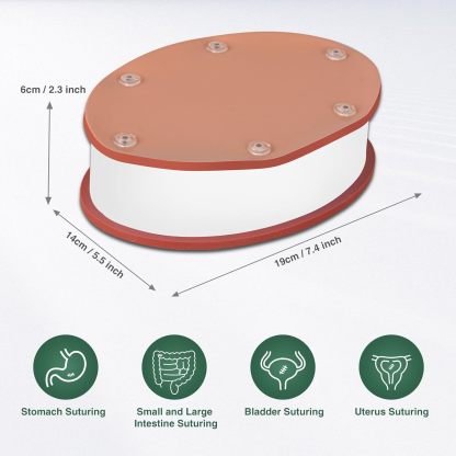 Ultrassist Hollow Organ Suturing Kit for Medical Training