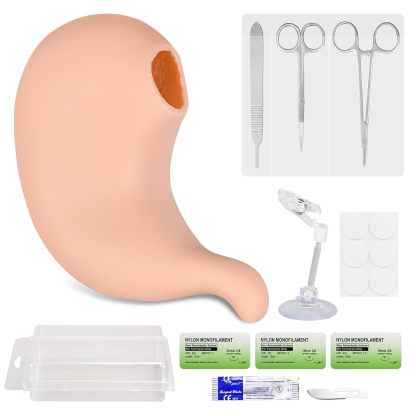 Ultrassist Hollow Stomach Suturing Model for Medical and Vet Training