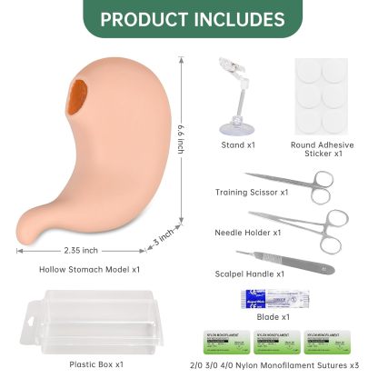 Ultrassist Hollow Stomach Suturing Model for Medical and Vet Training