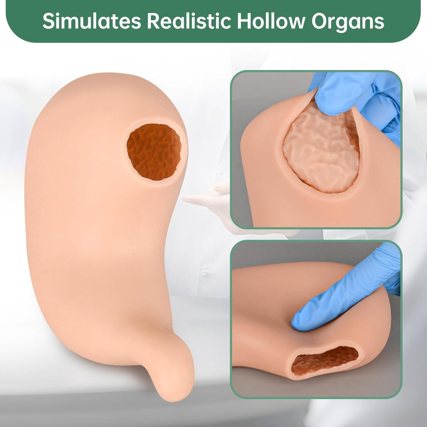 Ultrassist Hollow Stomach Suturing Model for Medical and Vet Training