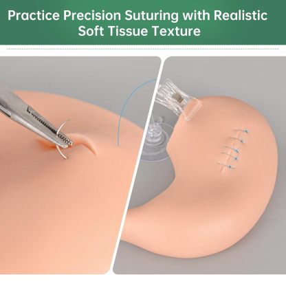 Ultrassist Hollow Stomach Suturing Model for Medical and Vet Training