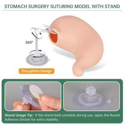 Ultrassist Hollow Stomach Suturing Model for Medical and Vet Training