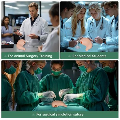 Ultrassist Hollow Stomach Suturing Model for Medical and Vet Training