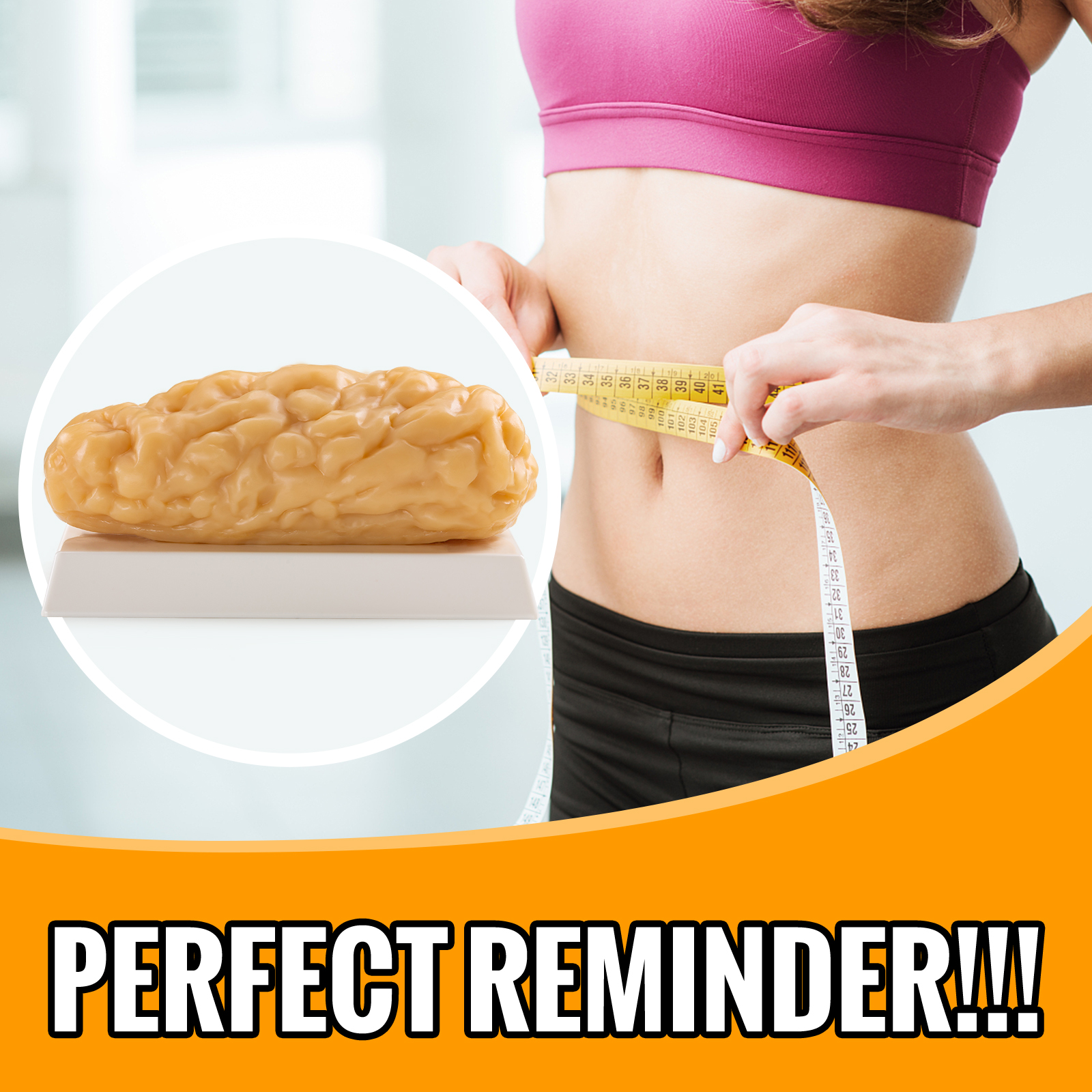 Ultrassist Human Body Fat Model (1, 2.5 & 5 lb) – Lifelike Fat Replicas for Fitness Training