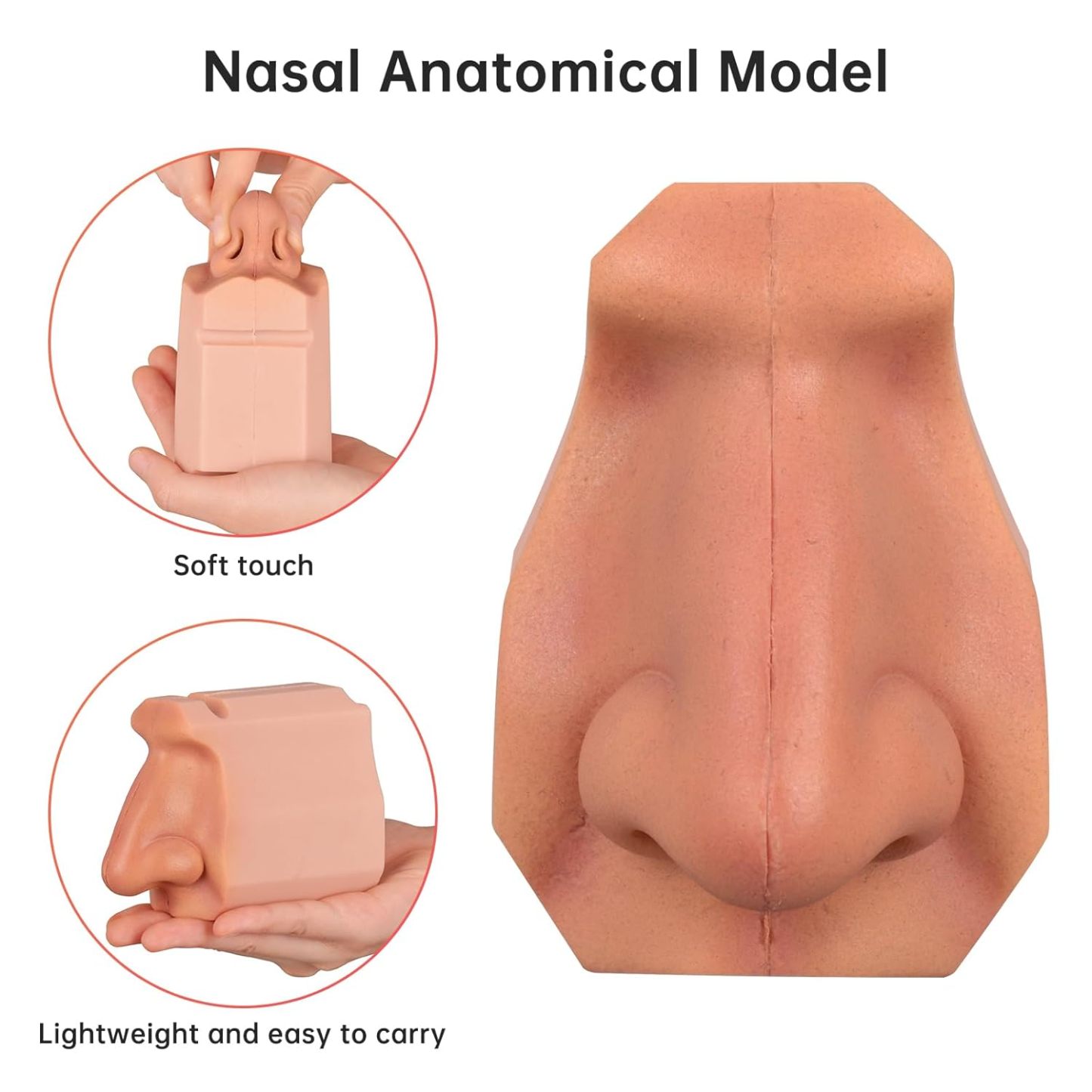 Lightweight Nasal Cavity Anatomy Model