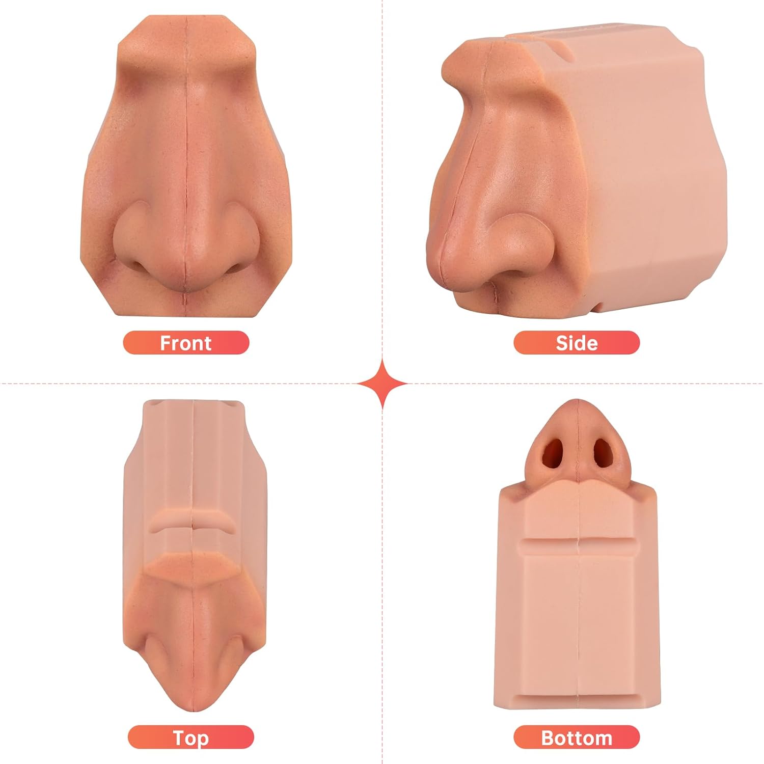 Human Nasal Cavity Model 

