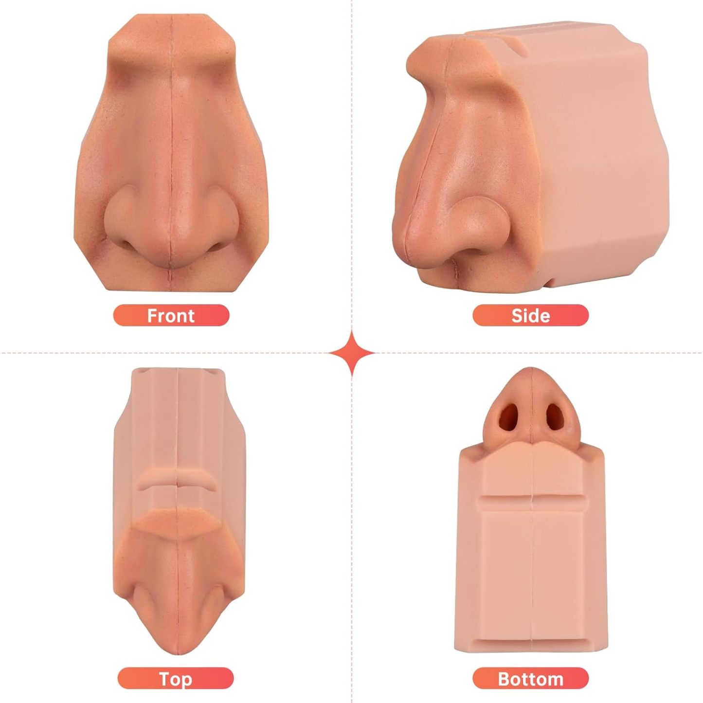 Human Nasal Cavity Model 
