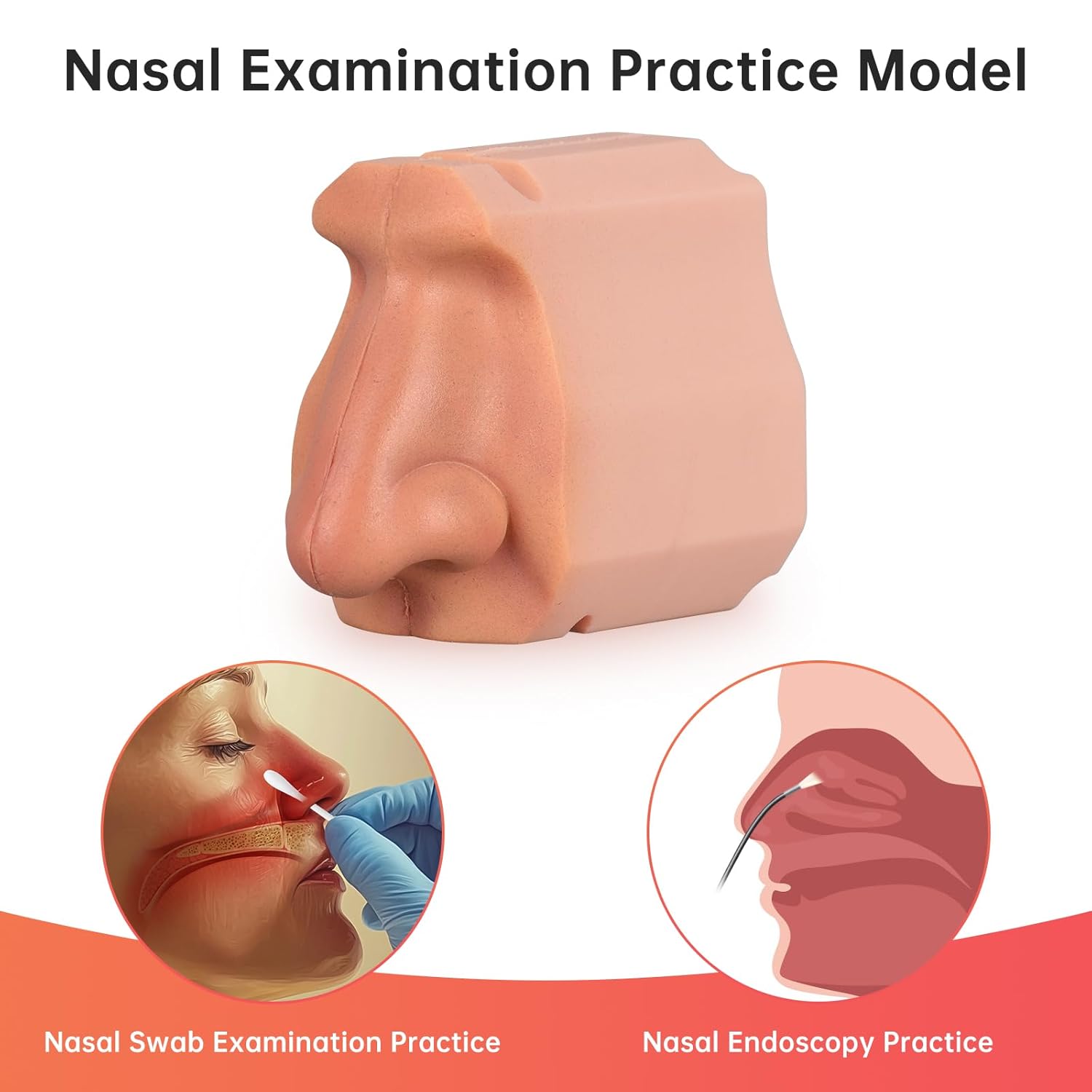 Nasal Examination Practice Model