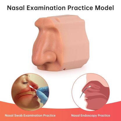 Nasal Examination Practice Model