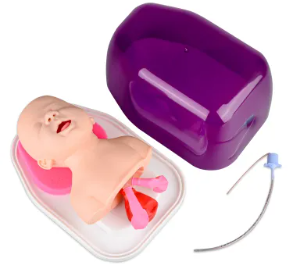 Neonatal Intubation Trainer - Advanced Airway Management Trainer