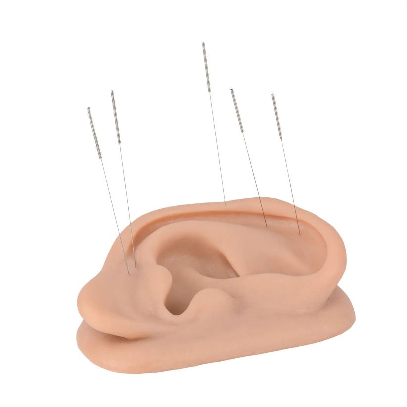 Silicone Acupuncture Ear Model, Enlarged for Auricular Training