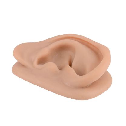 Large Silicone Acupuncture Ear Model