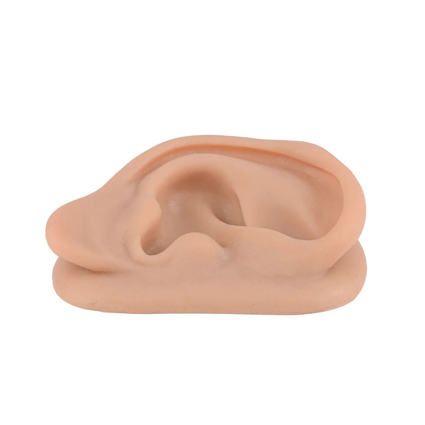 Silicone Acupuncture Ear Model, Enlarged for Auricular Training