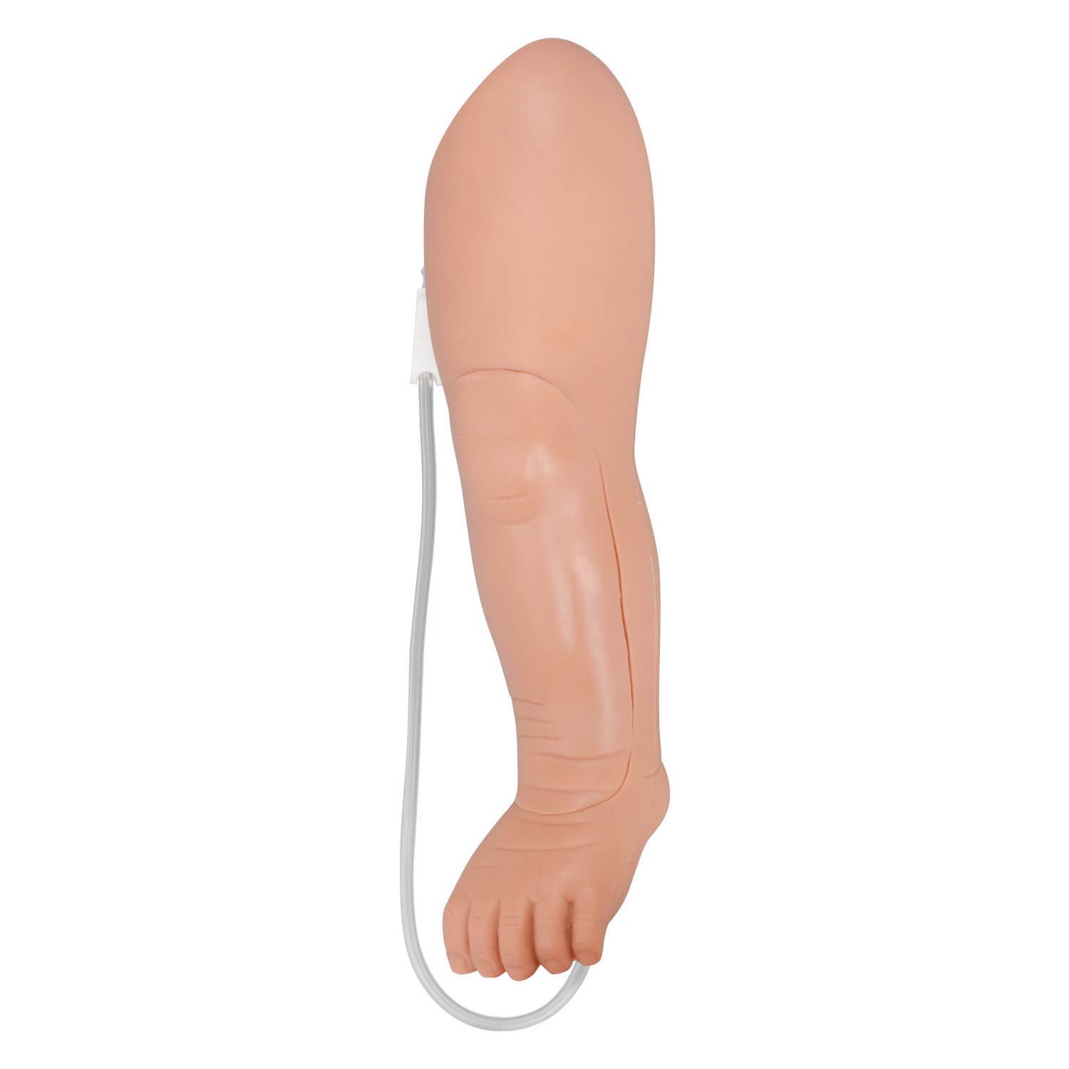 Pediatric Tibial IO Leg Trainer with Replaceable Bone