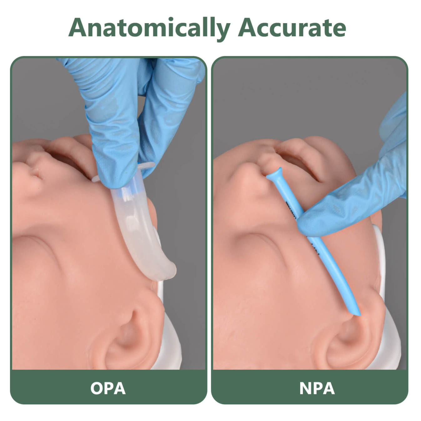 Ultrassist Infant Airway Management Trainer