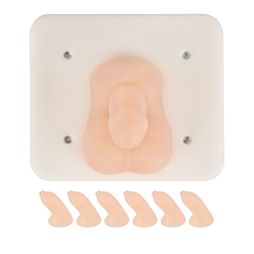 Infant Circumcision Training Model with Replaceable Foreskin