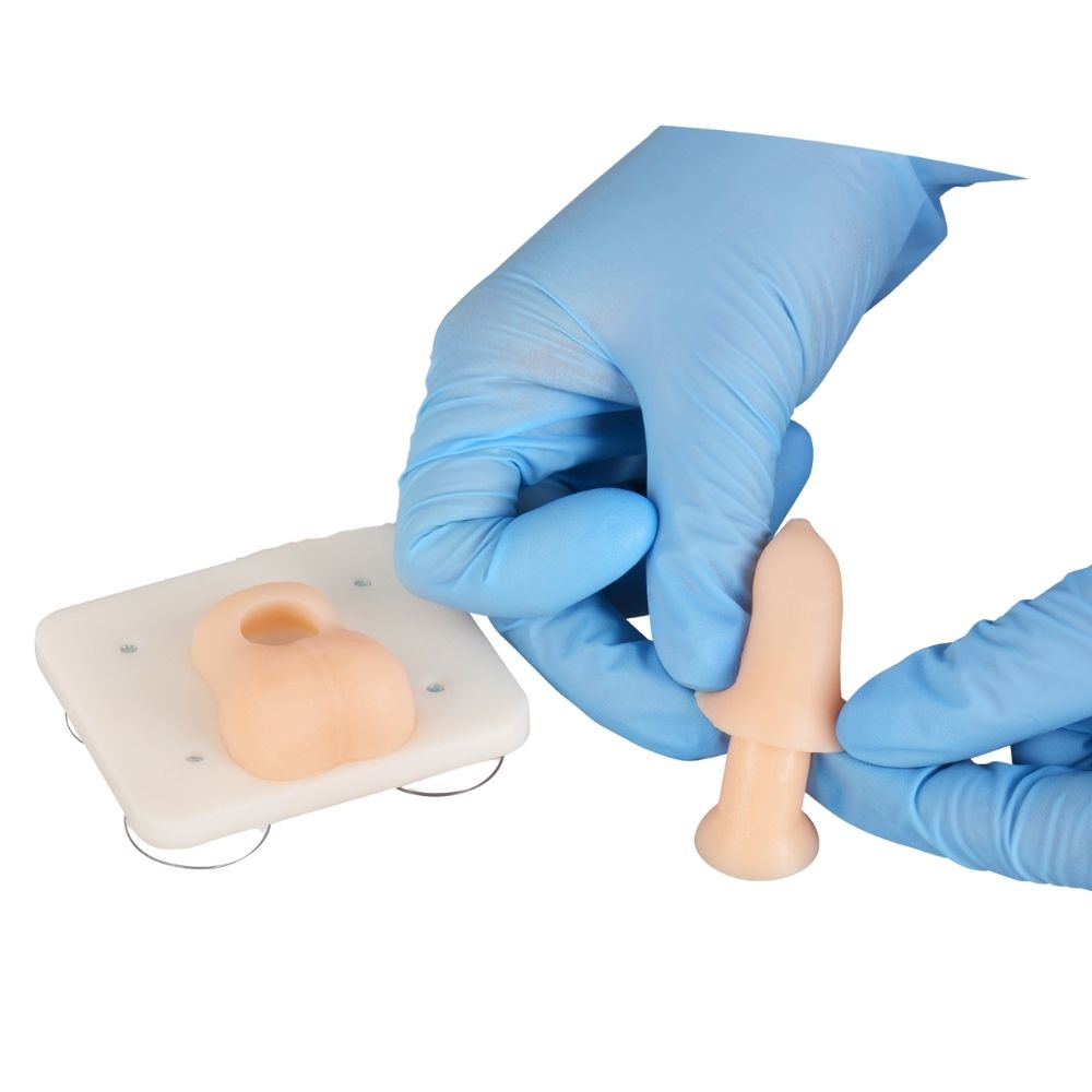 Infant Circumcision Training Model with Replaceable Foreskin