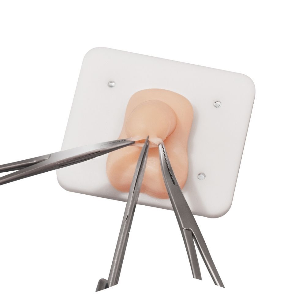 Infant Circumcision Trainer with Replaceable Foreskin