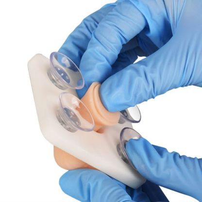 Infant Circumcision Training Model with Replaceable Foreskin