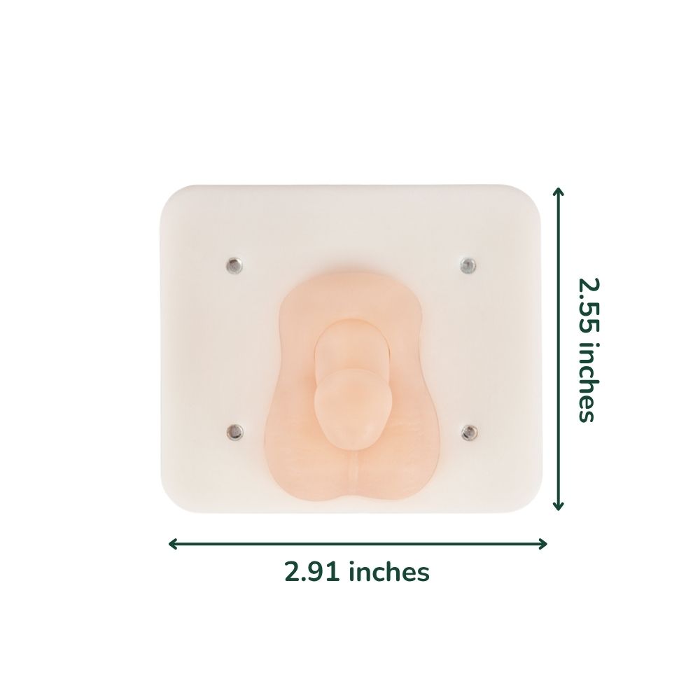 Infant Circumcision Training Model with Replaceable Foreskin