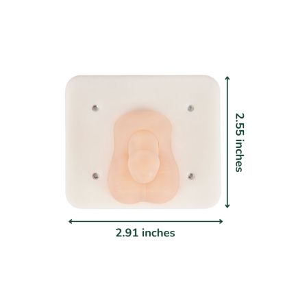 Infant Circumcision Training Model with Replaceable Foreskin