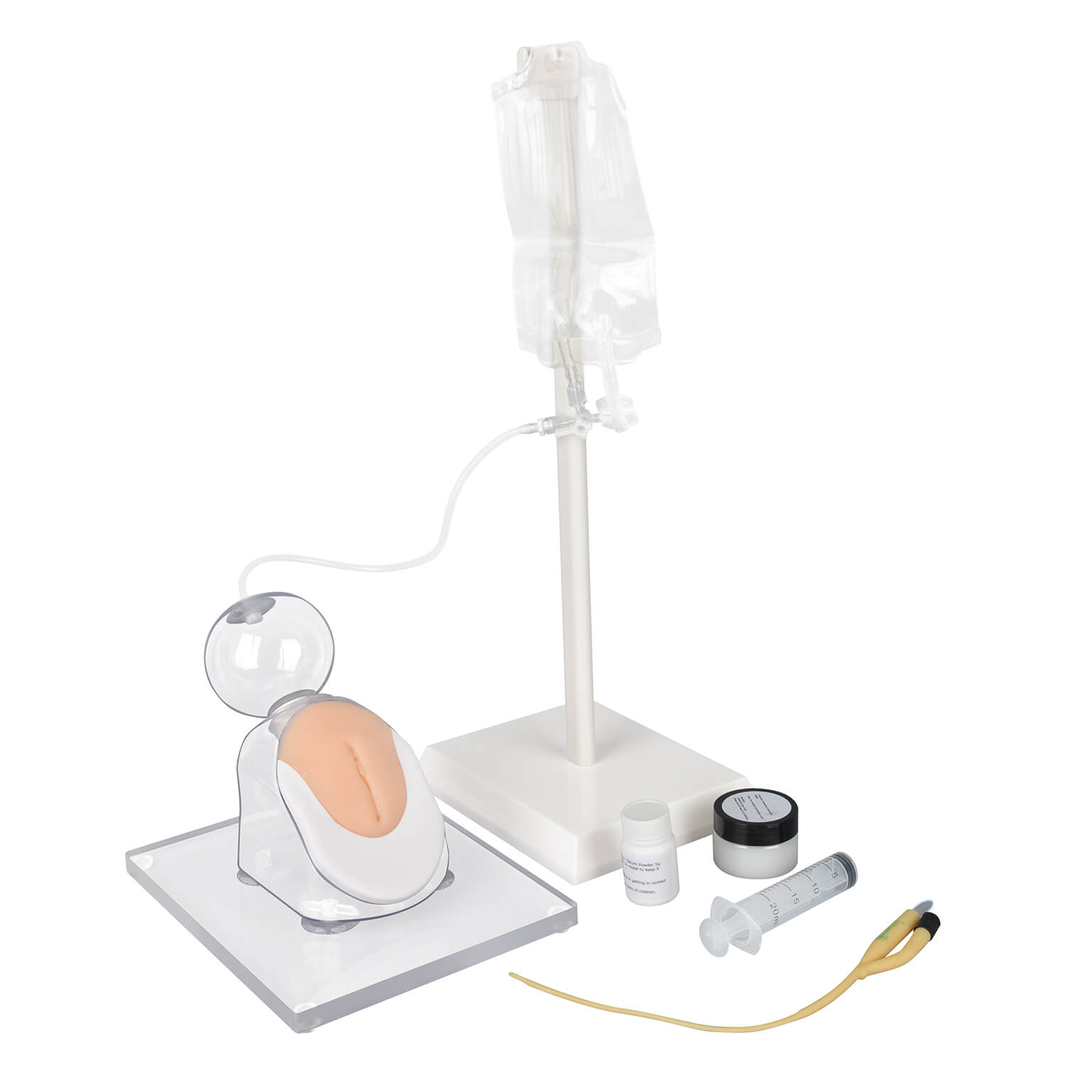 Infant Female Urinary Catheterization Model