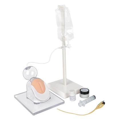Infant Female Urinary Catheterization Model