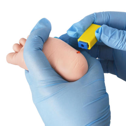 neonate heel stick model for capillary blood collection training