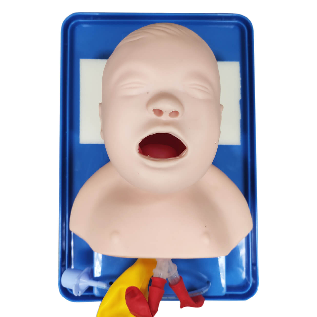Infant Intubation Trainer - Pediatric Airway Management Manikin